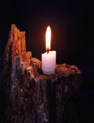 The light of the Divine Plan